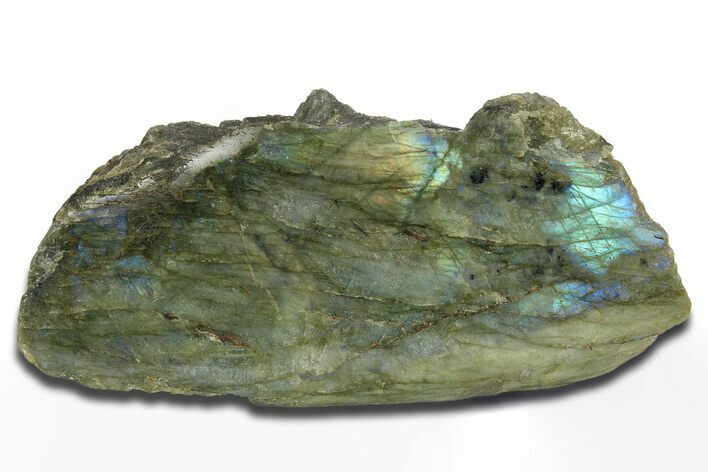 Single Side Polished Labradorite Section - Madagascar #295473